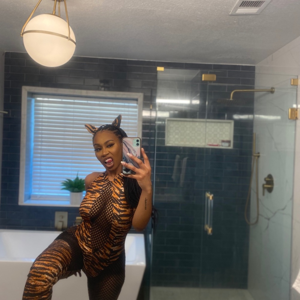 Here Kitty Kitty
